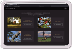 Site web arboriste grimpeur sur écran d’ordinateur