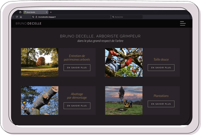Site web arboriste grimpeur sur écran d’ordinateur