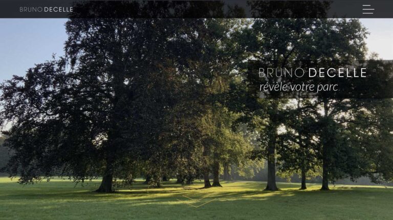 Homepage du site Bruno Decelle, arboriste grimpeur